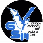 logo gsm