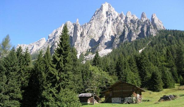 sabato 12 settembreBoschi e pascoli del Primiero